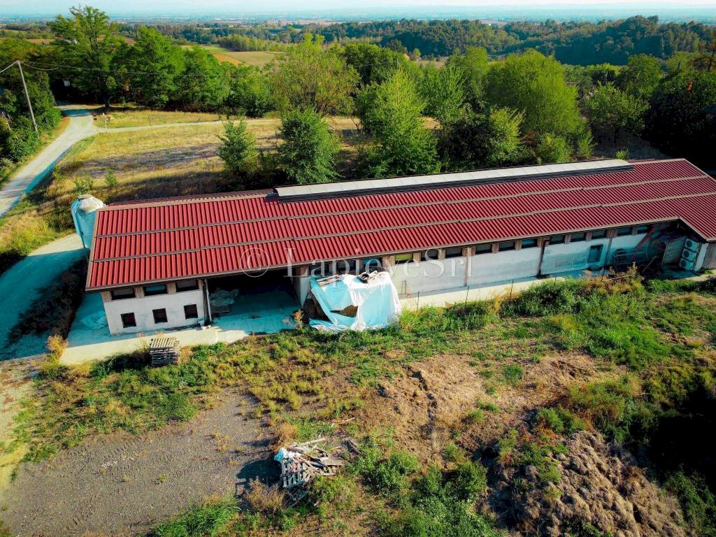 Rustic strada Ronco, Fubine Monferrato - photo 1