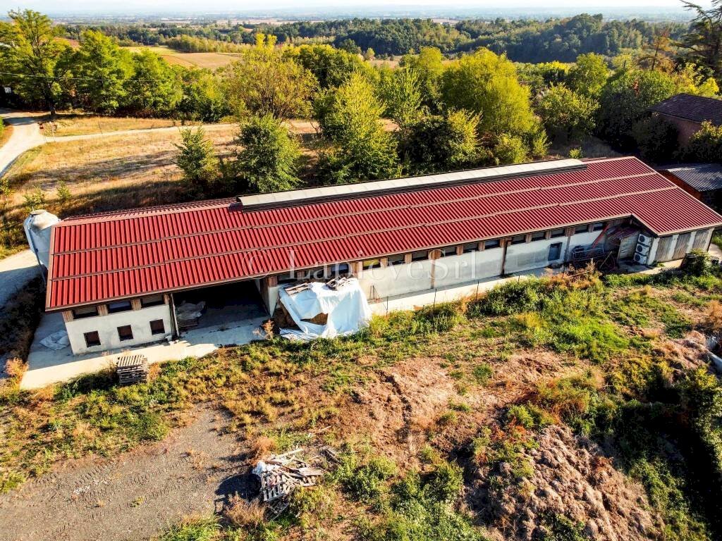 Rustic strada Ronco, Fubine Monferrato - photo 2