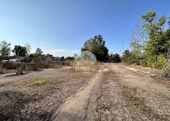 Terreno agricolo via Alessandria, Sale - foto 3