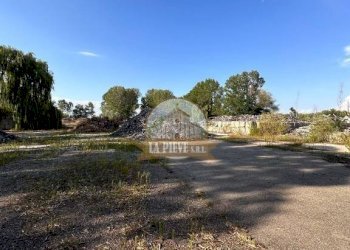 Terreno agricolo via Alessandria, Sale - foto 5