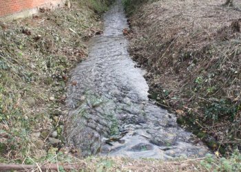 IMG_9061.JPG - Rustico via agogna, Cavaglietto - foto 5