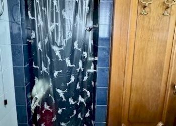 BAGNO - Bilocale via Torino, 6, Sagliano Micca - foto 17