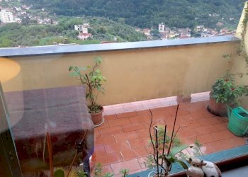 a45f1a80-f564-4f7c-8df6-7c17fd4f2946.jpg - Porzione di casa Arcola - foto 17