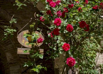 FOTO4.jpg - Appartamento Piazza Matteotti 7, Sassoferrato - foto 6