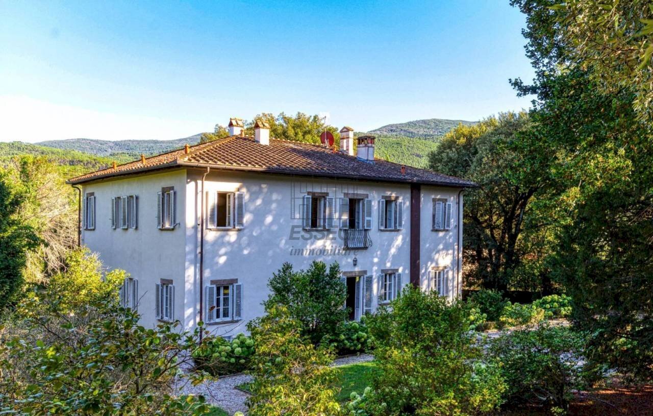 101648.jpg - Villa Via della Chiesa VII 351, Lucca - foto 2