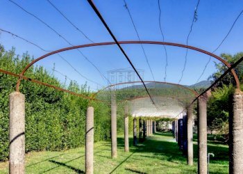 IA01555 - Villa Via della Chiesa VII 351, Lucca - foto 5