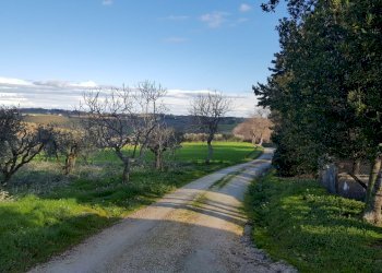 20210104_142440.jpg - Casale Senigallia - foto 5