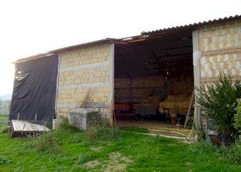 DSC00387.JPG - Casale Senigallia - foto 19