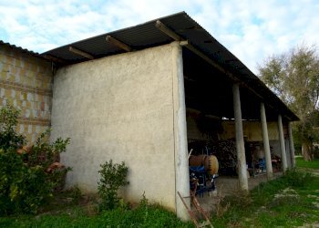 DSC00389.JPG - Casale Senigallia - foto 20