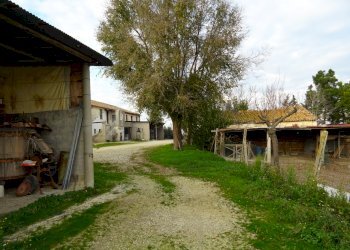 DSC00390.JPG - Casale Senigallia - foto 21