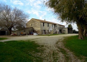 DSC00391.JPG - Casale Senigallia - foto 22