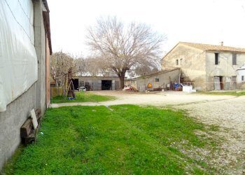 DSC00392.JPG - Casale Senigallia - foto 23