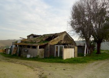 DSC00394.JPG - Casale Senigallia - foto 30