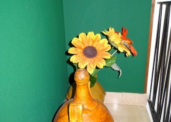 dettaglio - Casa indipendente Senigallia - foto 18