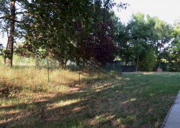 Rustic Viano - photo 8