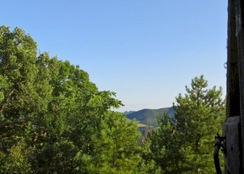 Rustic Viano - photo 17