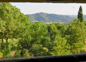 Rustic Viano - photo 19