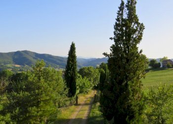 Rustic Viano - photo 25