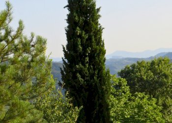 Rustic Viano - photo 27