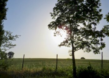 Rustic Viano - photo 28