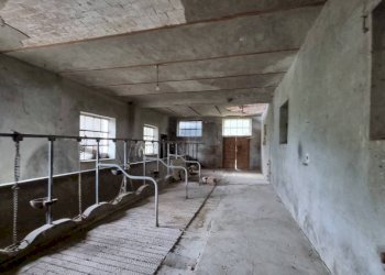 Rustico via Gabella, Belveglio - foto 13