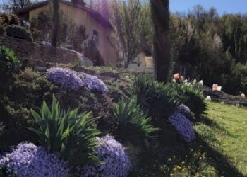 Giardino - Rustico Castelnuovo Calcea - foto 24