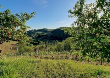 Terreno - Rustico Castelnuovo Calcea - foto 18