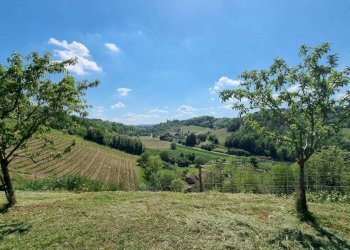 Terreno - Rustico Castelnuovo Calcea - foto 19
