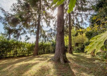 Scala - Casa indipendente strada Provinciale di Verzi, Lorsica - foto 8