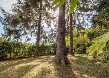 Giardino - Villa via Co' di Verzi, Lorsica - foto 7