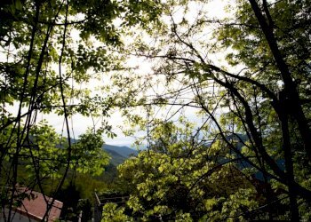 CASA - Casa indipendente via Emilio Giacomazzi, Bargagli - foto 5