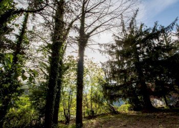 CASA - Casa indipendente via Emilio Giacomazzi, Bargagli - foto 9