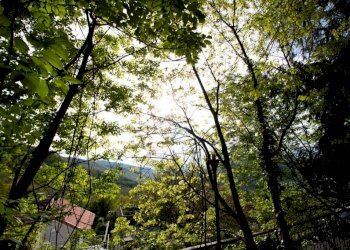 TERRENO - Casa indipendente via Emilio Giacomazzi, Bargagli - foto 18
