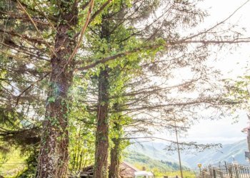 TERRENO - Casa indipendente via Emilio Giacomazzi, Bargagli - foto 24