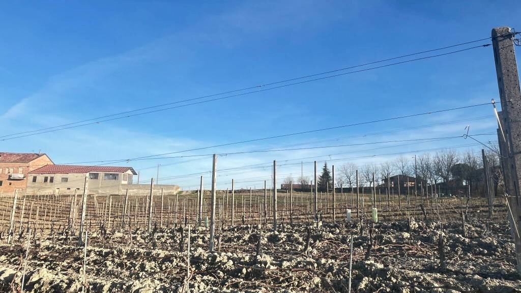 Terreno - Terreno edificabile strada San Vittore, 5A, Priocca - foto 3