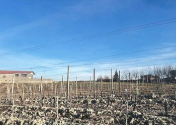 Terreno - Terreno edificabile strada San Vittore, 5A, Priocca - foto 3