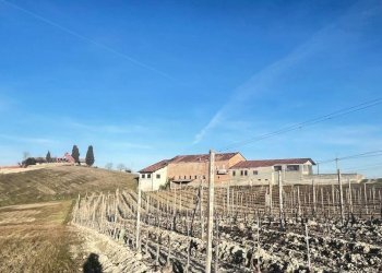 Terreno - Terreno edificabile strada San Vittore, 5A, Priocca - foto 8