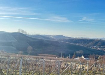 Vista - Terreno edificabile strada San Vittore, 5A, Priocca - foto 10