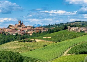 Vista - Terreno agricolo Regione Fugassa, Fubine Monferrato - foto 1