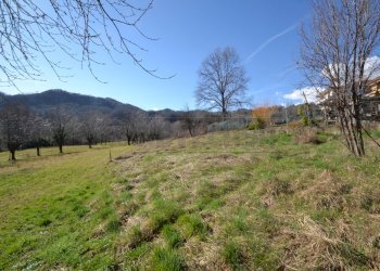 Retecasa_Valdagno - Terreno agricolo Valdagno - foto 6