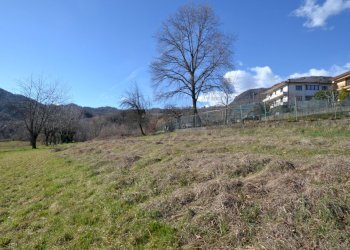 Retecasa_Valdagno - Terreno agricolo Valdagno - foto 8