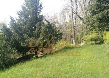 20230428_154321_resized.jpg - Villa Premeno - foto 12