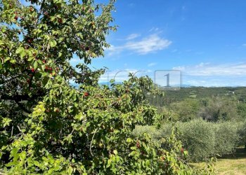 08 Esterni (8).jpg - Rustico Via Fagnini 8, Villaga - foto 23