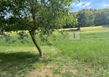 08 Esterni (19).jpg - Rustico Via Fagnini 8, Villaga - foto 24