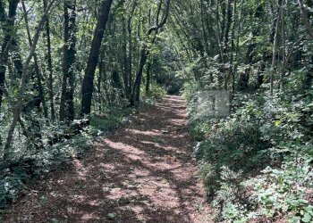 08 Esterni (24).jpg - Rustico Via Fagnini 8, Villaga - foto 29