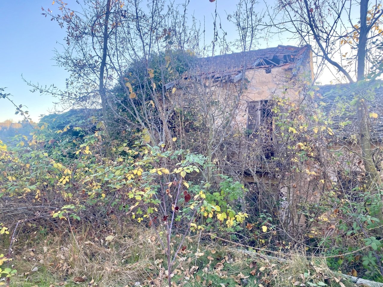 02.jpeg - Agricultural land SP115 15, Marsaglia - photo 3