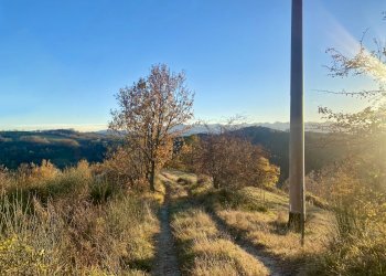 04.jpeg - Agricultural land SP115 15, Marsaglia - photo 1