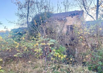 02.jpeg - Agricultural land SP115 15, Marsaglia - photo 3