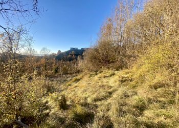 06.jpeg - Agricultural land SP115 15, Marsaglia - photo 6