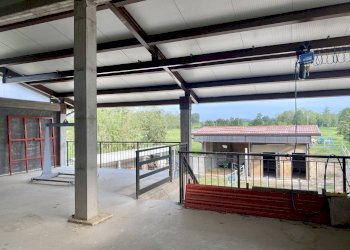 8.jpeg - Magazzino località dalmazzoni 1, Niella Tanaro - foto 8